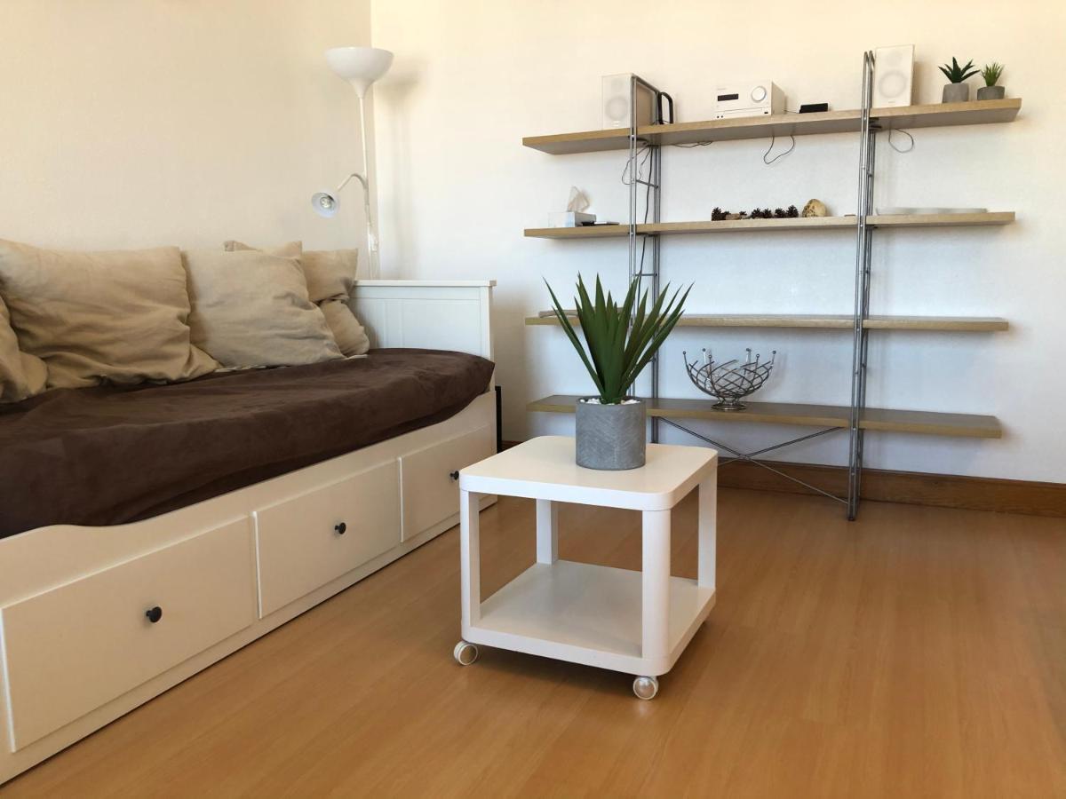 Appartement Lumineux, Avec Balcon, A 200M De La Plage อองดาเย ภายนอก รูปภาพ